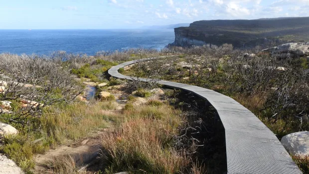 Scenic view of a Sydney backroad trail